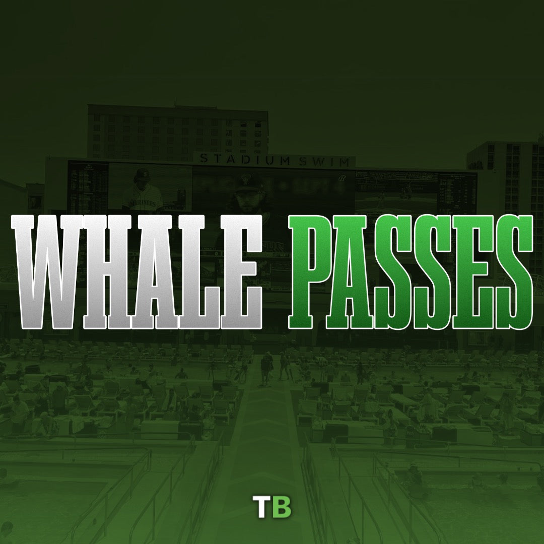 WHALE PASSES